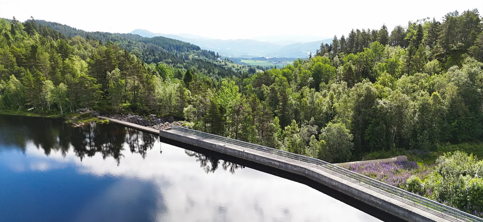 Slik bestiller du Norgespris