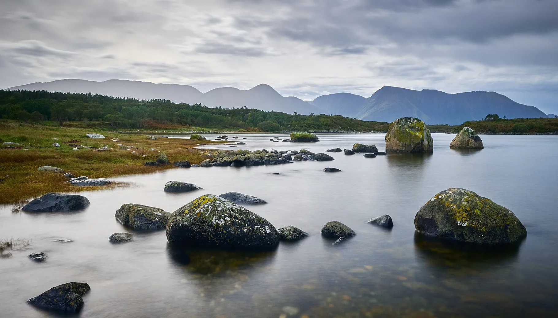 Vurderer du å bestille Norgespris? Vurderer du å bestille Norgespris?