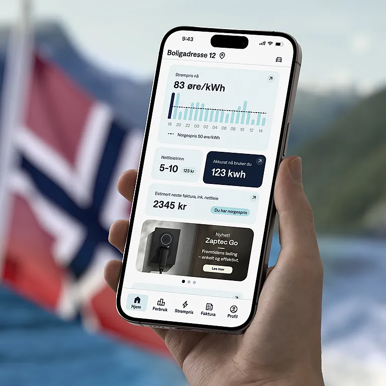 Alt du trenger å vite om Norgespris Alt du trenger å vite om Norgespris