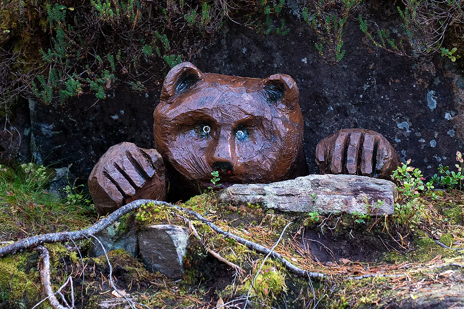 Titter du godt etter, kan det hende noen titter tilbake – som denne bjørnen fra hulen sin.