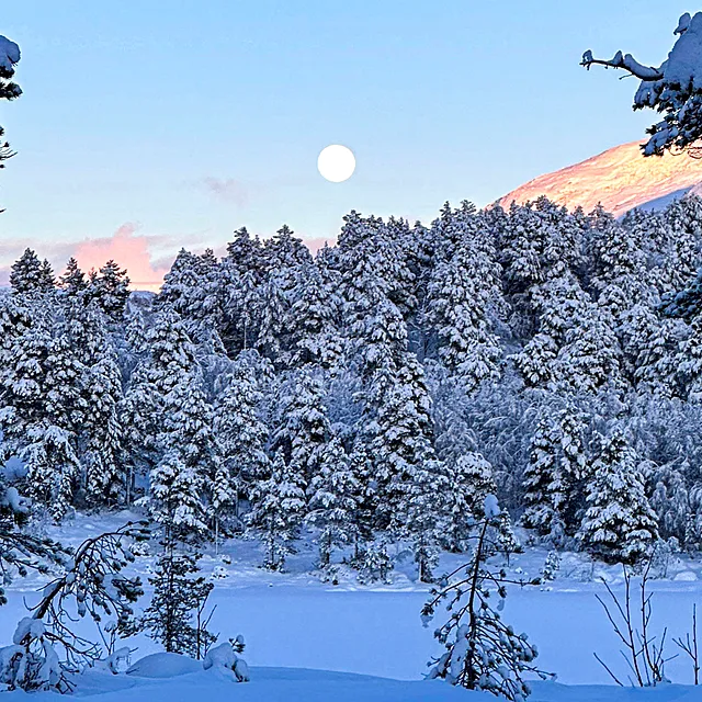 Høye strømpriser: Dette driver prisene