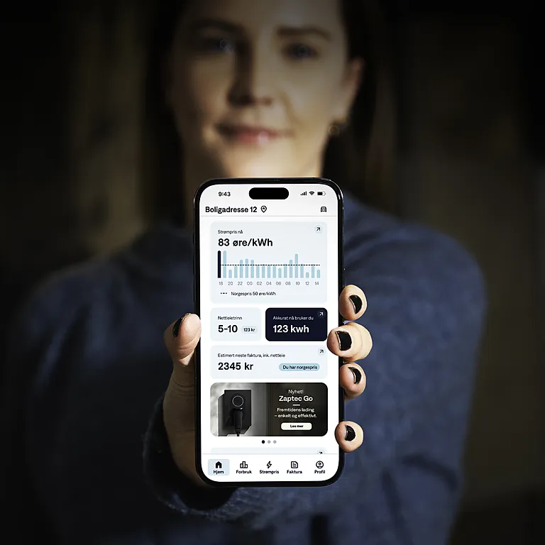Alt du trenger å vite om Norgespris