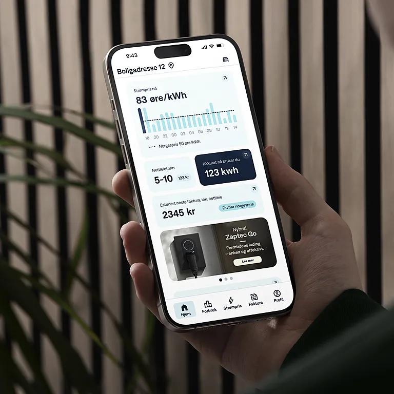 Se kommende spotpriser i appen
