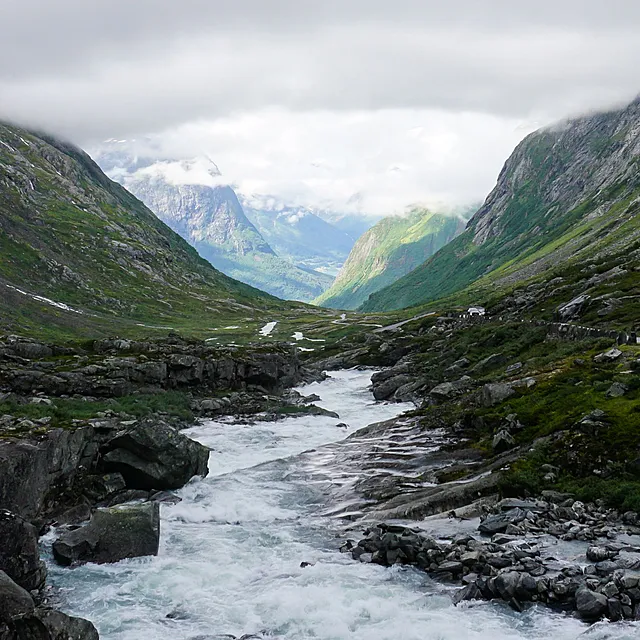 Norgespris kan bli høstens prisvinner i Midt-Norge