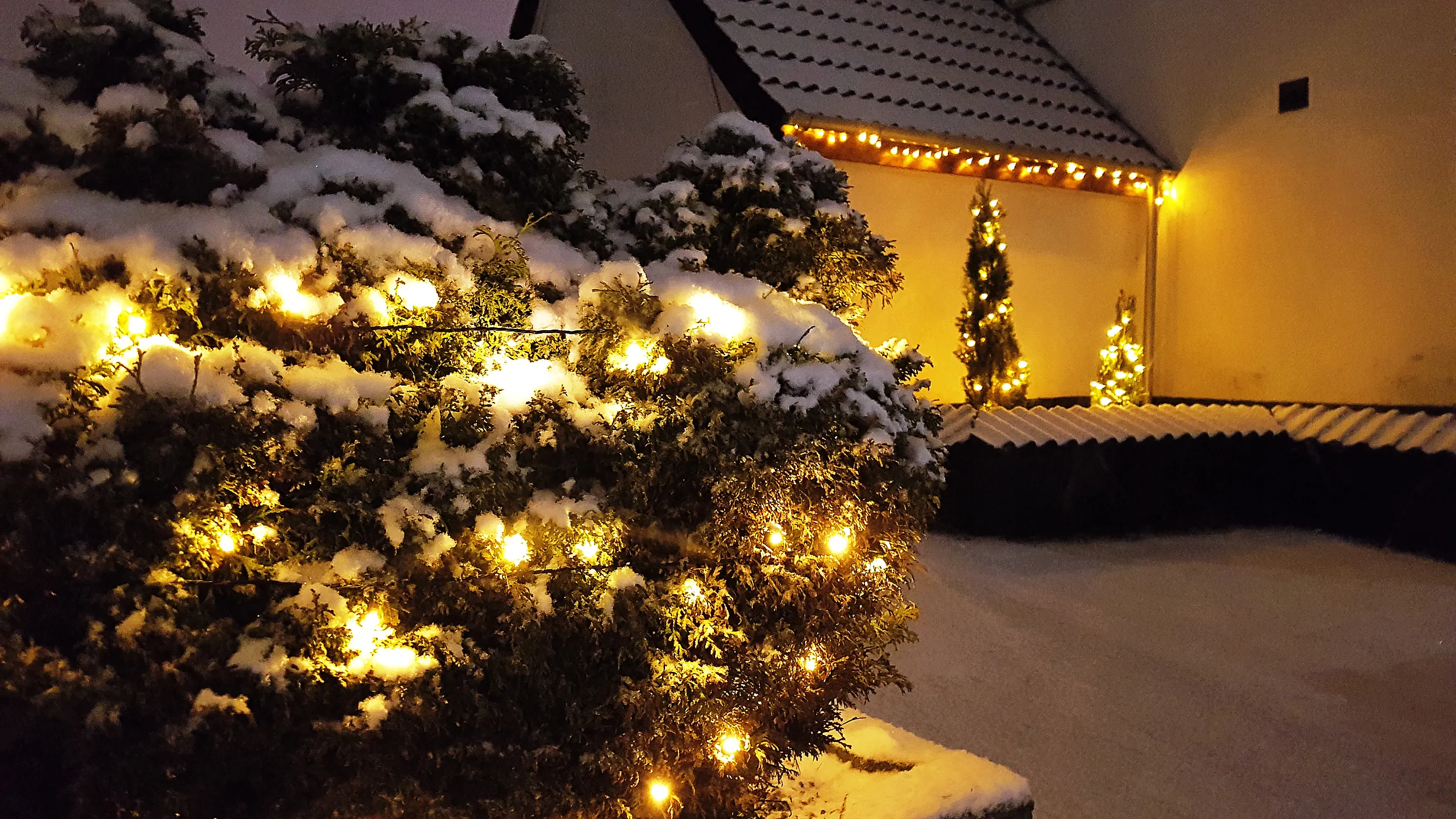 Adobe Stock 543188914