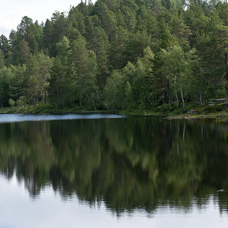 Status på kraftmarkedet juni 2025 Status på kraftmarkedet juni 2025