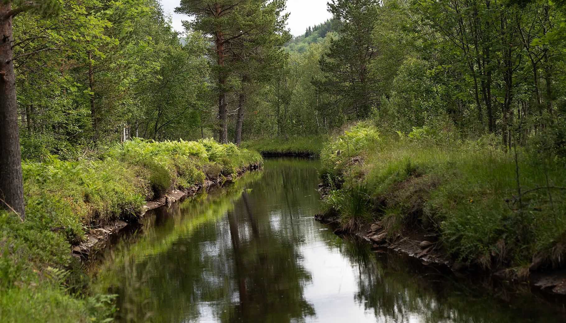 Kraftmarkedet så langt i 2025