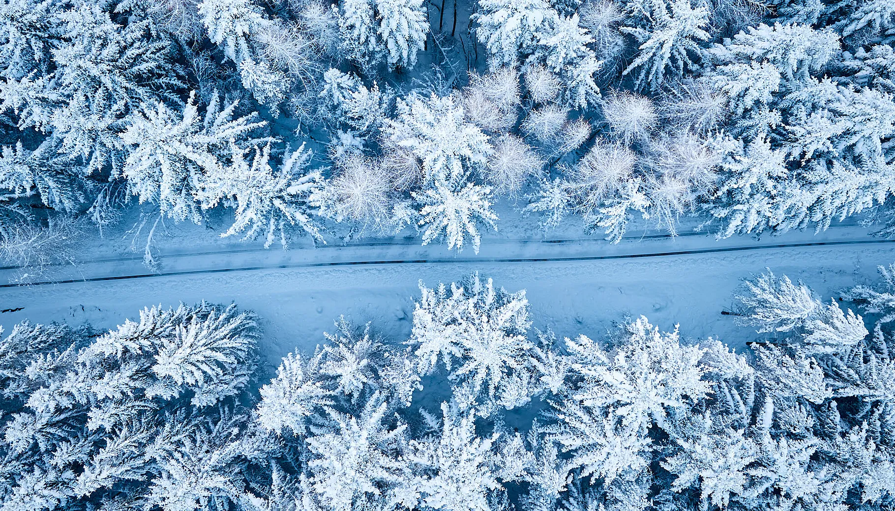 Økt interesse for Norgespris Økt interesse for Norgespris