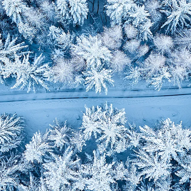 Økt interesse for Norgespris