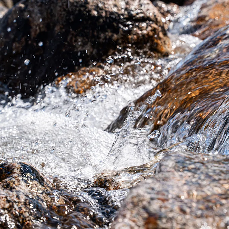 Kraft fra naturen – siden 1919
