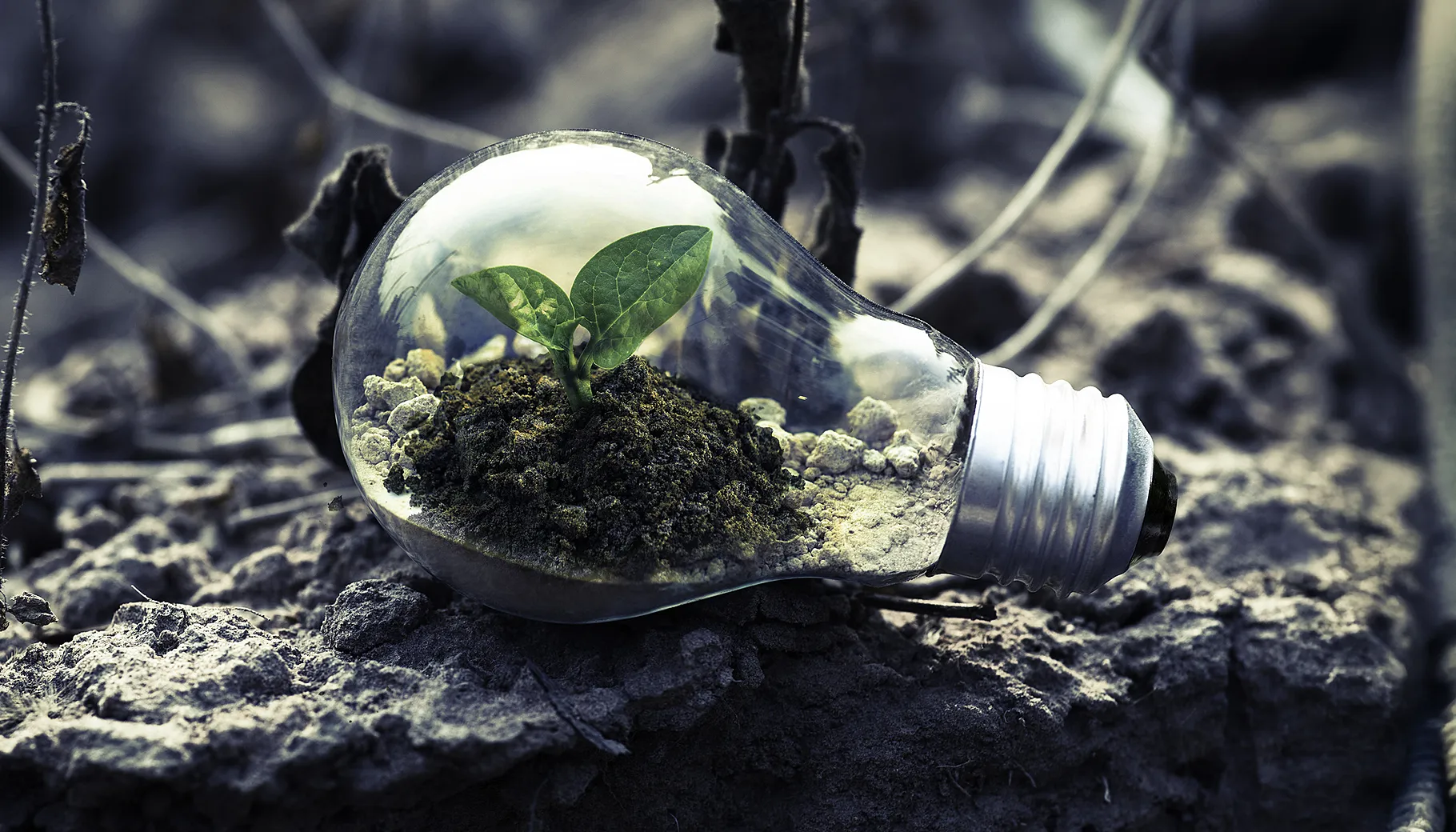 Energinettverk Istad: Det grønne skiftet: Hva betyr det for enkeltpersoner, bedrift og samfunn?