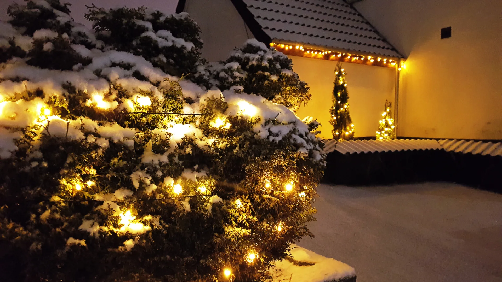 Adobe Stock 543188914