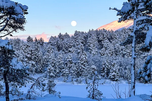 Høye strømpriser: Dette driver prisene Høye strømpriser: Dette driver prisene
