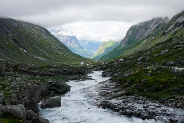 Norgespris kan bli høstens prisvinner i Midt-Norge Norgespris kan bli høstens prisvinner i Midt-Norge