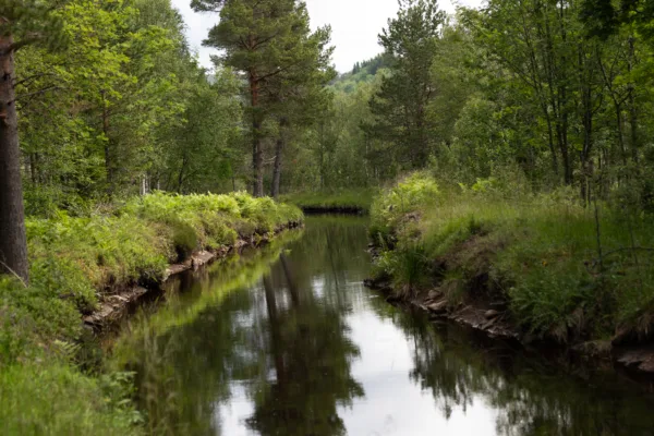 Kraftmarkedet så langt i 2025 Kraftmarkedet så langt i 2025